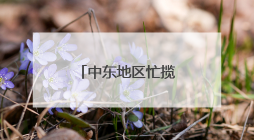 中东地区忙揽中国出境游客
