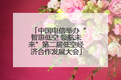 中国电信举办“智惠低空 领航未来”第二届低空经济合作发展大会