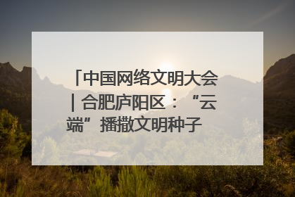 中国网络文明大会｜合肥庐阳区：“云端”播撒文明种子 共建清朗网络空间