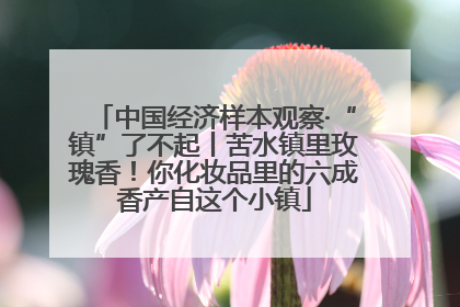 中国经济样本观察·“镇”了不起丨苦水镇里玫瑰香！你化妆品里的六成香产自这个小镇