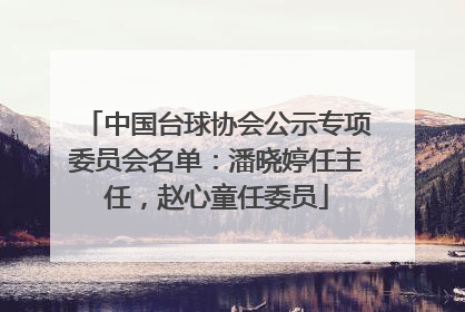 中国台球协会公示专项委员会名单：潘晓婷任主任，赵心童任委员