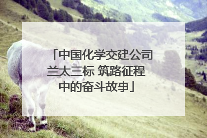 中国化学交建公司兰太三标 筑路征程中的奋斗故事