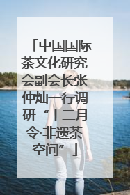中国国际茶文化研究会副会长张仲灿一行调研“十二月令·非遗茶空间”