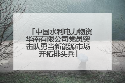 中国水利电力物资华南有限公司党员突击队勇当新能源市场开拓排头兵