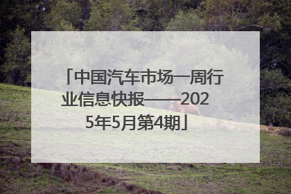 中国汽车市场一周行业信息快报——2025年5月第4期