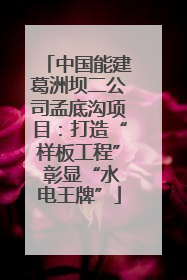 中国能建葛洲坝二公司孟底沟项目：打造“样板工程” 彰显“水电王牌”