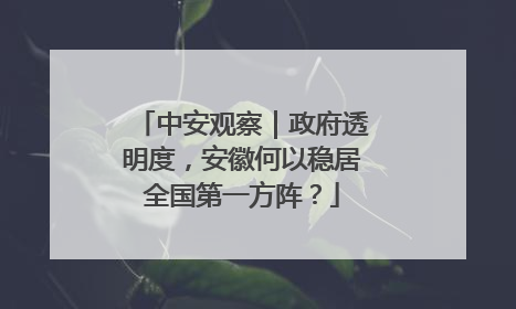 中安观察｜政府透明度，安徽何以稳居全国第一方阵？