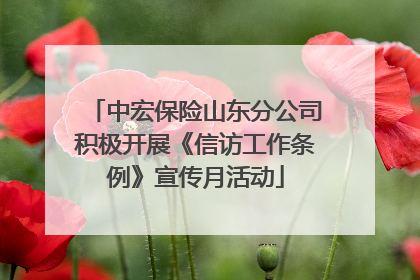 中宏保险山东分公司积极开展《信访工作条例》宣传月活动