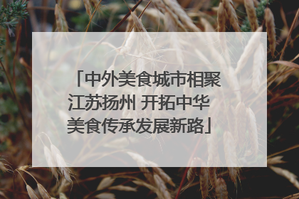 中外美食城市相聚江苏扬州 开拓中华美食传承发展新路
