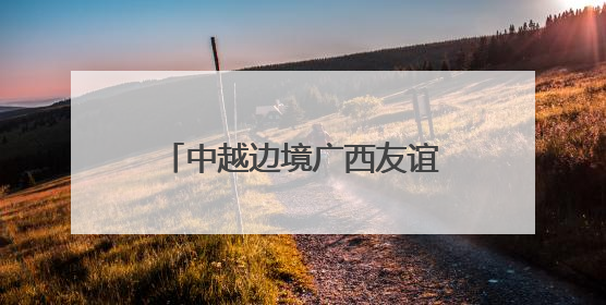 中越边境广西友谊关口岸前5月进出口货运量增长超三成