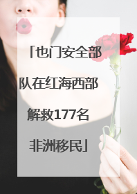 也门安全部队在红海西部解救177名非洲移民