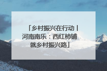 乡村振兴在行动丨河南南乐：西红柿铺就乡村振兴路