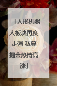 人形机器人板块再度走强 私募掘金热情高涨