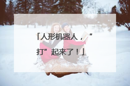 人形机器人，“打”起来了！