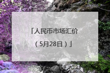 人民币市场汇价（5月28日）