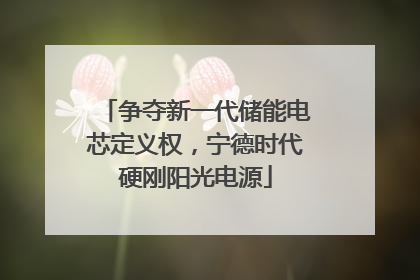 争夺新一代储能电芯定义权，宁德时代硬刚阳光电源