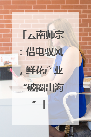 云南师宗：借电驭风，鲜花产业“破圈出海”