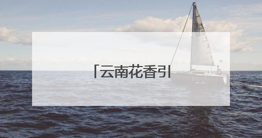 云南花香引四方游客