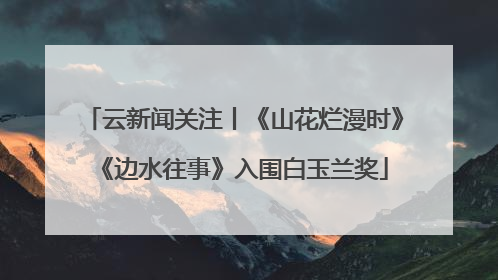 云新闻关注丨《山花烂漫时》《边水往事》入围白玉兰奖