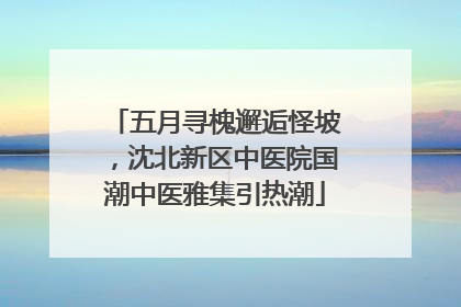 五月寻槐邂逅怪坡，沈北新区中医院国潮中医雅集引热潮
