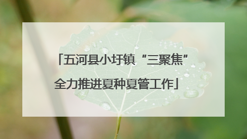 五河县小圩镇“三聚焦”全力推进夏种夏管工作