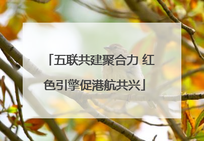 五联共建聚合力 红色引擎促港航共兴
