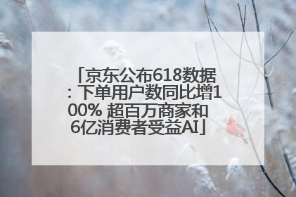 京东公布618数据：下单用户数同比增100% 超百万商家和6亿消费者受益AI