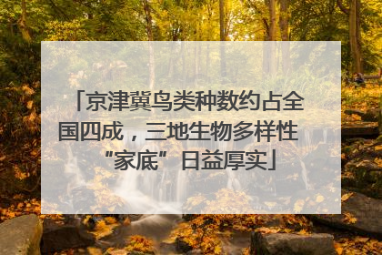 京津冀鸟类种数约占全国四成，三地生物多样性“家底”日益厚实