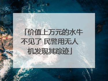 价值上万元的水牛不见了 民警用无人机发现其踪迹