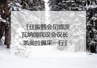 任振鹤会见博茨瓦纳国民议会议长凯奥拉佩采一行