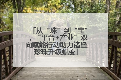 从“珠”到“宝”，“平台+产业”双向赋能行动助力诸暨珍珠升级蜕变