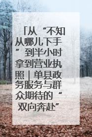 从“不知从哪儿下手”到半小时拿到营业执照｜单县政务服务与群众期待的“双向奔赴”
