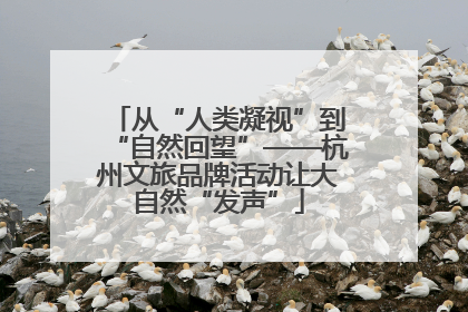 从“人类凝视”到“自然回望”——杭州文旅品牌活动让大自然“发声”