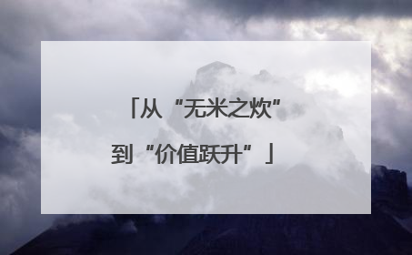 从“无米之炊”到“价值跃升”