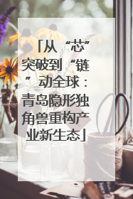 从“芯”突破到“链”动全球：青岛隐形独角兽重构产业新生态