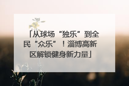 从球场“独乐”到全民“众乐”！淄博高新区解锁健身新力量