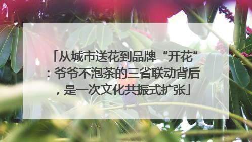 从城市送花到品牌“开花”：爷爷不泡茶的三省联动背后，是一次文化共振式扩张