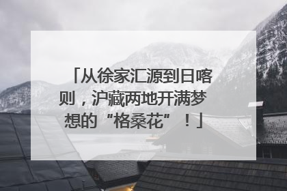从徐家汇源到日喀则，沪藏两地开满梦想的“格桑花”！