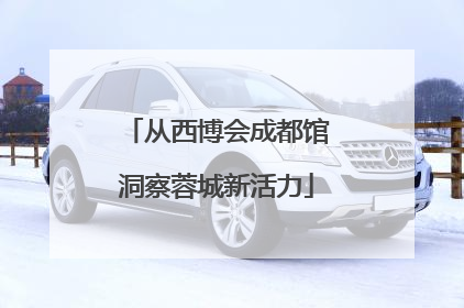 从西博会成都馆洞察蓉城新活力