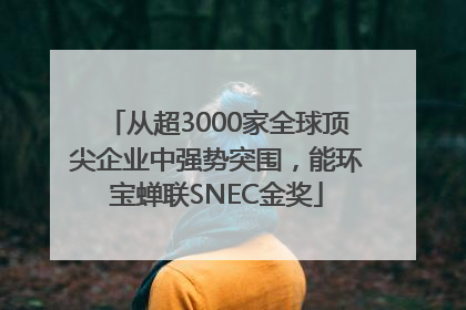 从超3000家全球顶尖企业中强势突围，能环宝蝉联SNEC金奖