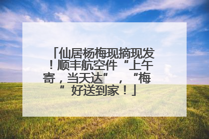 仙居杨梅现摘现发！顺丰航空件“上午寄，当天达”，“梅”好送到家！
