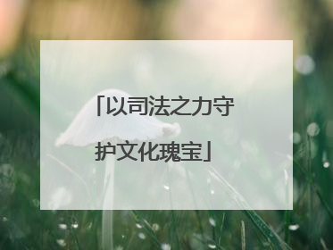 以司法之力守护文化瑰宝