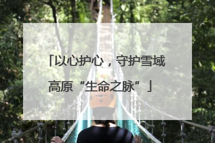 以心护心，守护雪域高原“生命之脉”
