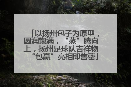 以扬州包子为原型，圆润饱满，“蒸”腾向上，扬州足球队吉祥物“包赢”亮相即售罄