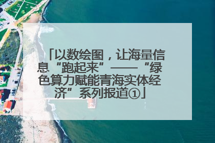 以数绘图，让海量信息“跑起来”——“绿色算力赋能青海实体经济”系列报道①