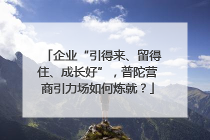 企业“引得来、留得住、成长好”，普陀营商引力场如何炼就？