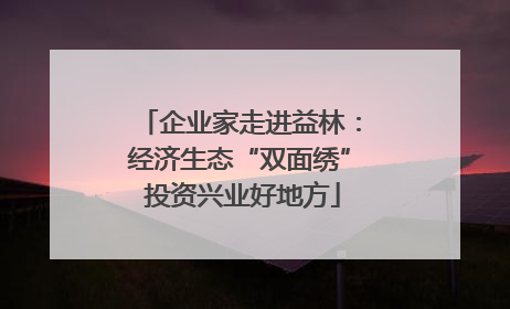 企业家走进益林：经济生态“双面绣” 投资兴业好地方
