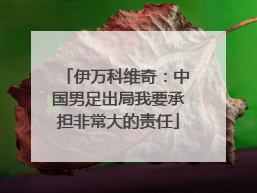 伊万科维奇：中国男足出局我要承担非常大的责任