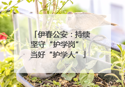 伊春公安：持续坚守“护学岗” 当好“护学人”