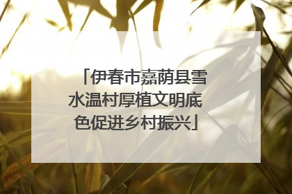 伊春市嘉荫县雪水温村厚植文明底色促进乡村振兴